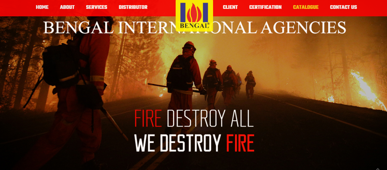 Company Portfolio website